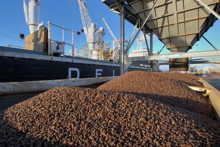 Export Surge Lecker Food Taps Malaysia’s Cocoa Earnings Boom